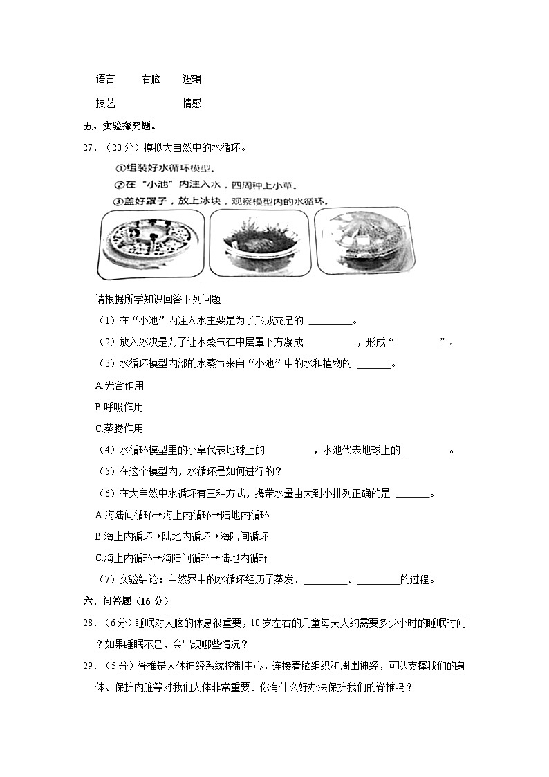 辽宁省沈阳市法库县2023-2024学年五年级上学期期中科学试卷第3页