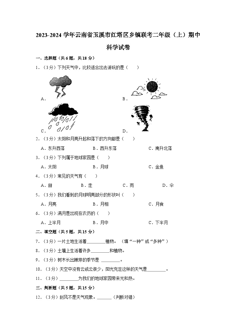 云南省玉溪市红塔区乡镇联考2023-2024学年二年级上学期期中科学试卷