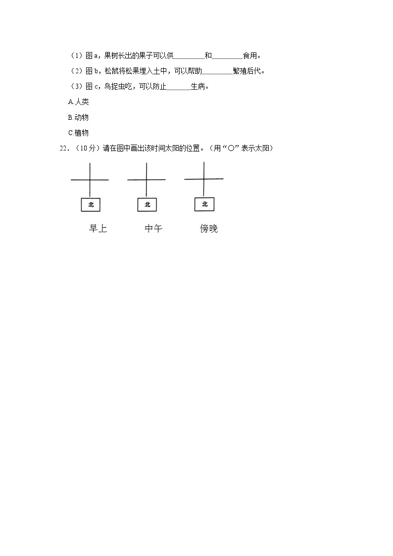 云南省玉溪市红塔区乡镇联考2023-2024学年二年级上学期期中科学试卷03