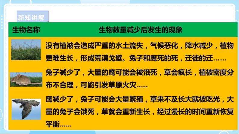 【苏教版】六下科学  2.7 做个生态瓶（课件+教案+同步练习+素材）06