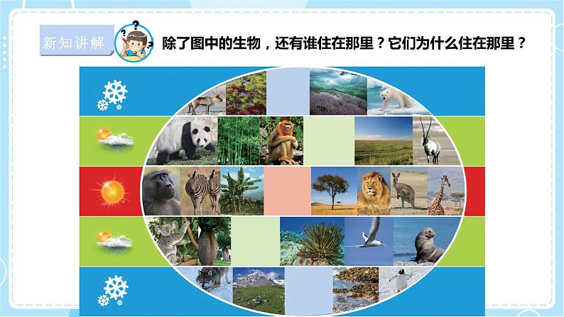 【苏教版】六下科学 2.5 多样的栖息地(课件+教案+同步练习+素材)04
