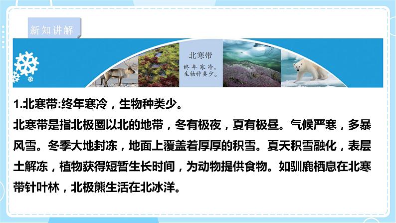 【苏教版】六下科学 2.5 多样的栖息地(课件+教案+同步练习+素材)05