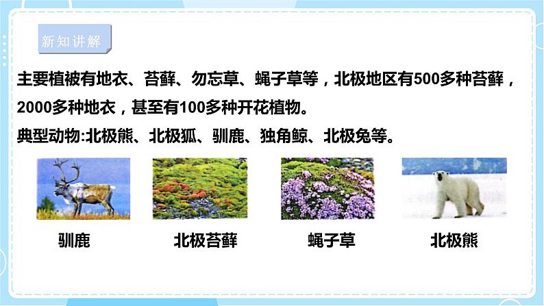 【苏教版】六下科学 2.5 多样的栖息地(课件+教案+同步练习+素材)06