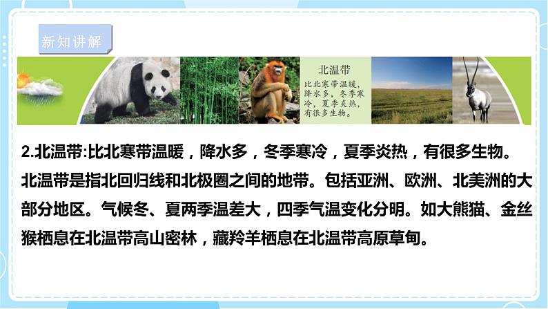 【苏教版】六下科学 2.5 多样的栖息地(课件+教案+同步练习+素材)07