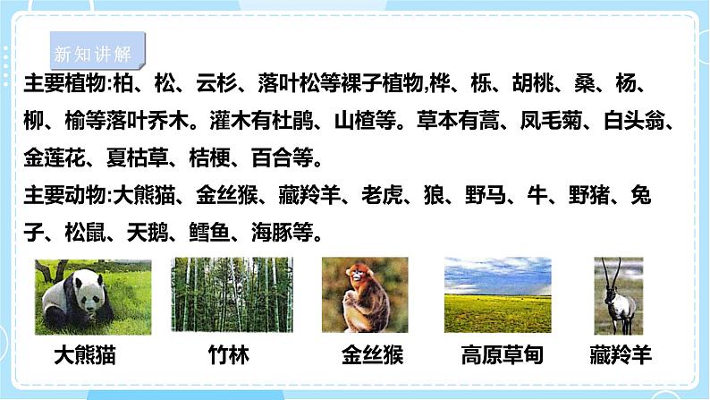 【苏教版】六下科学 2.5 多样的栖息地(课件+教案+同步练习+素材)08