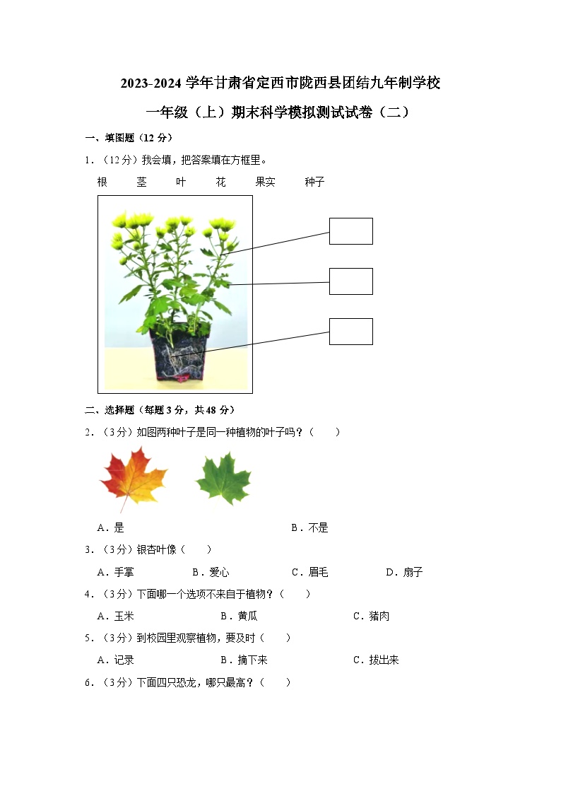 甘肃省定西市陇西县团结九年制学校2023-2024学年一年级上学期12月期末科学试题