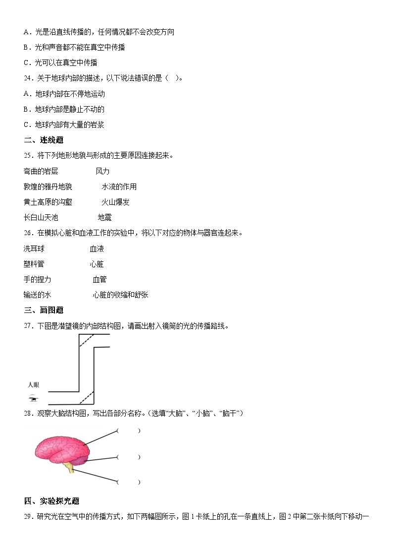 2022-2023学年重庆市江津区教科版五年级上册期末考试科学试卷（含解析）03