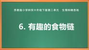 小学科学苏教版 (2017)六年级下册6 有趣的食物链获奖作业课件ppt