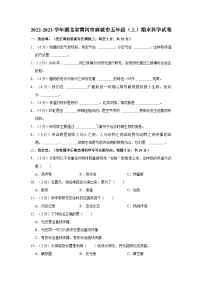 湖北省黄冈市麻城市2022-2023学年五年级上学期期末科学试卷