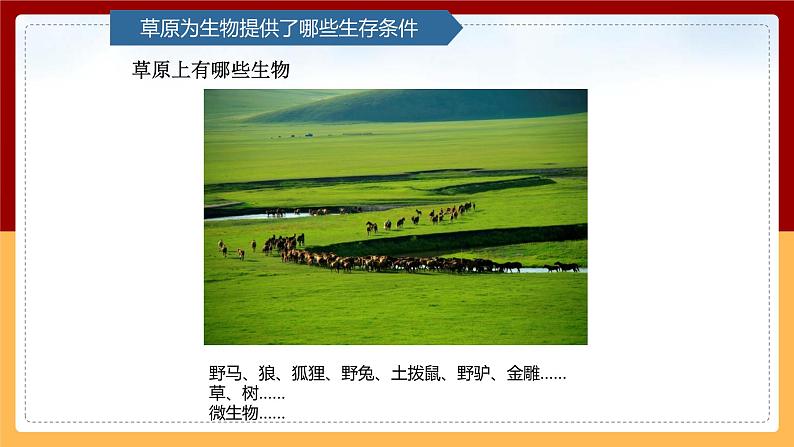 【青岛版(六三制)】 五下科学 5.19《生物的栖息地》课件第4页