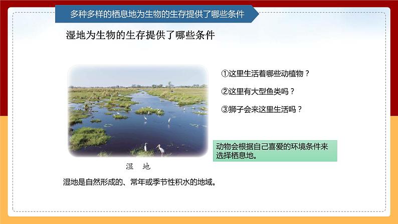【青岛版(六三制)】 五下科学 5.19《生物的栖息地》课件第8页