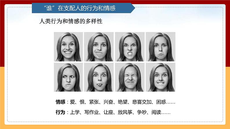 【青岛版(六三制)】 五下科学 1.1《我们的脑》课件第4页