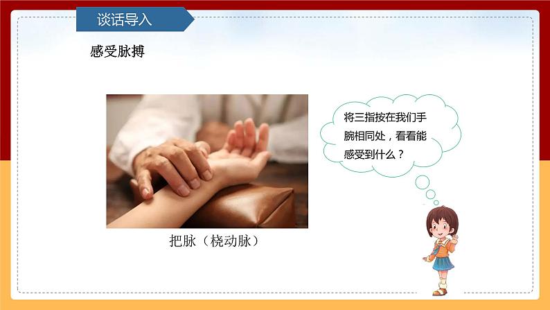 【青岛版(六三制)】 五下科学 1.4《心脏和血管》课件03