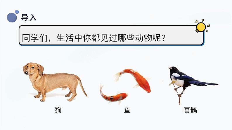 教科版一下科学 第2单元第1课-我们知道的动物(课件+视频素材)07