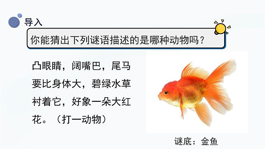 2.2《校園里的動物》課件第4頁