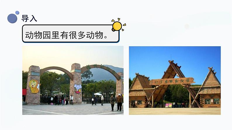 2.6 给动物分类 课件第4页