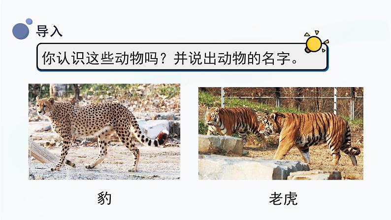 2.6 给动物分类 课件第5页