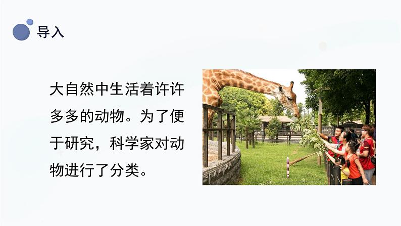 2.6 给动物分类 课件第8页