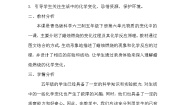 小学科学青岛版 (六三制2017)五年级下册21 蜡烛燃烧教学设计