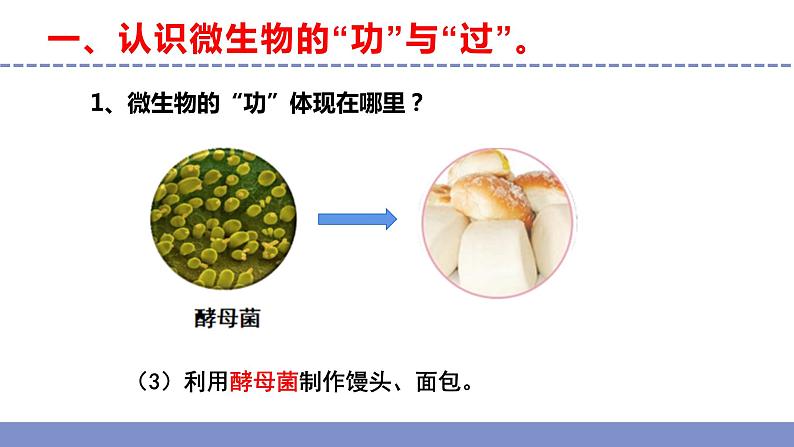 苏教版小学科学五年级下册《4.微生物的“功”与“过”》课件+教案+视频+作业(全套)06