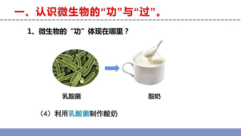 苏教版小学科学五年级下册《4.微生物的“功”与“过”》课件+教案+视频+作业(全套)07