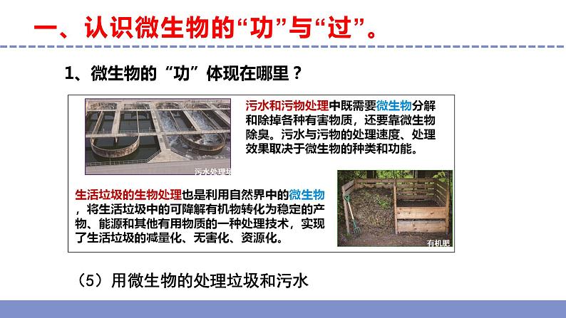 苏教版小学科学五年级下册《4.微生物的“功”与“过”》课件+教案+视频+作业(全套)08