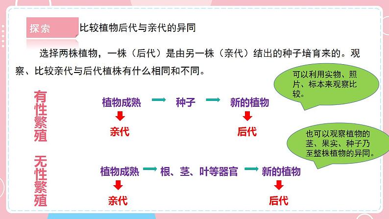 2.3形形色色的植物第7页