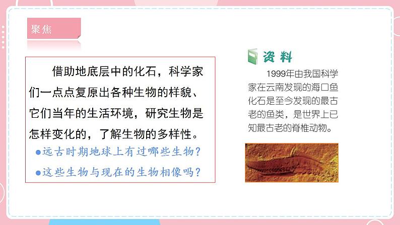 【教科版】六下科学 2.6 古代生物的多样性(课件+视频素材)04