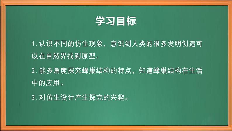 苏教版小学科学五年级下册《5.生物的启示》课件+教案+视频+作业(全套)03