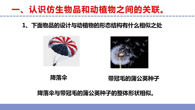 苏教版小学科学五年级下册《5.生物的启示》课件+教案+视频+作业(全套)06