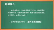 小学科学苏教版 (2017)五年级下册6 蛋壳与拱形建筑精品作业ppt课件