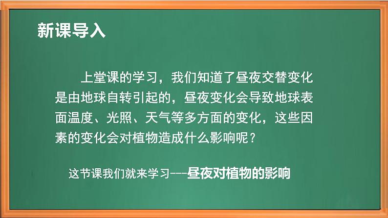 苏教版小学科学五年级下册《10.昼夜对植物的影响》课件+教案+视频+作业(全套)01
