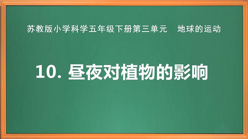 苏教版小学科学五年级下册《10.昼夜对植物的影响》课件+教案+视频+作业(全套)02