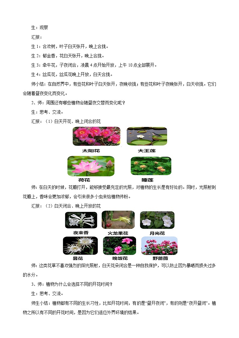 苏教版小学科学五年级下册《10.昼夜对植物的影响》课件+教案+视频+作业(全套)02