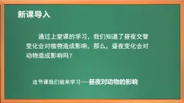 蘇教版小學科學五年級下冊《11.晝夜對動物的影響》課件+教案+視頻+作業(yè)（全套）