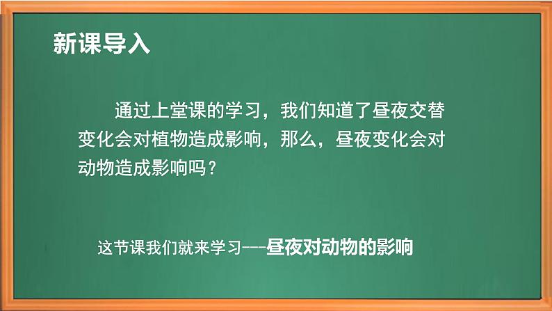 苏教版小学科学五年级下册《11.昼夜对动物的影响》课件+教案+视频+作业(全套)01