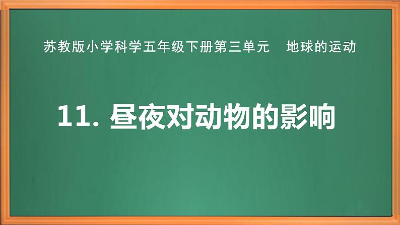 苏教版小学科学五年级下册《11.昼夜对动物的影响》课件+教案+视频+作业(全套)02
