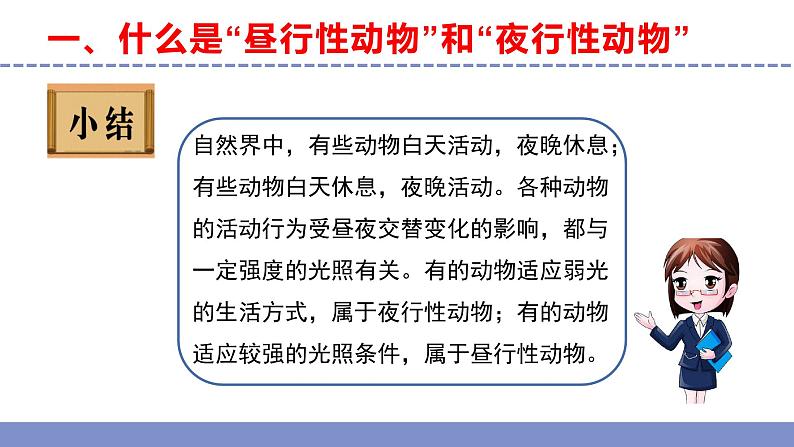 苏教版小学科学五年级下册《11.昼夜对动物的影响》课件+教案+视频+作业(全套)08