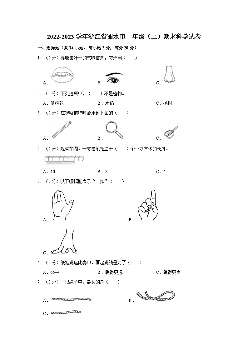 浙江省丽水市2022-2023学年一年级上学期期末科学试卷