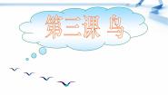 科学四年级上册3 鸟课文配套ppt课件