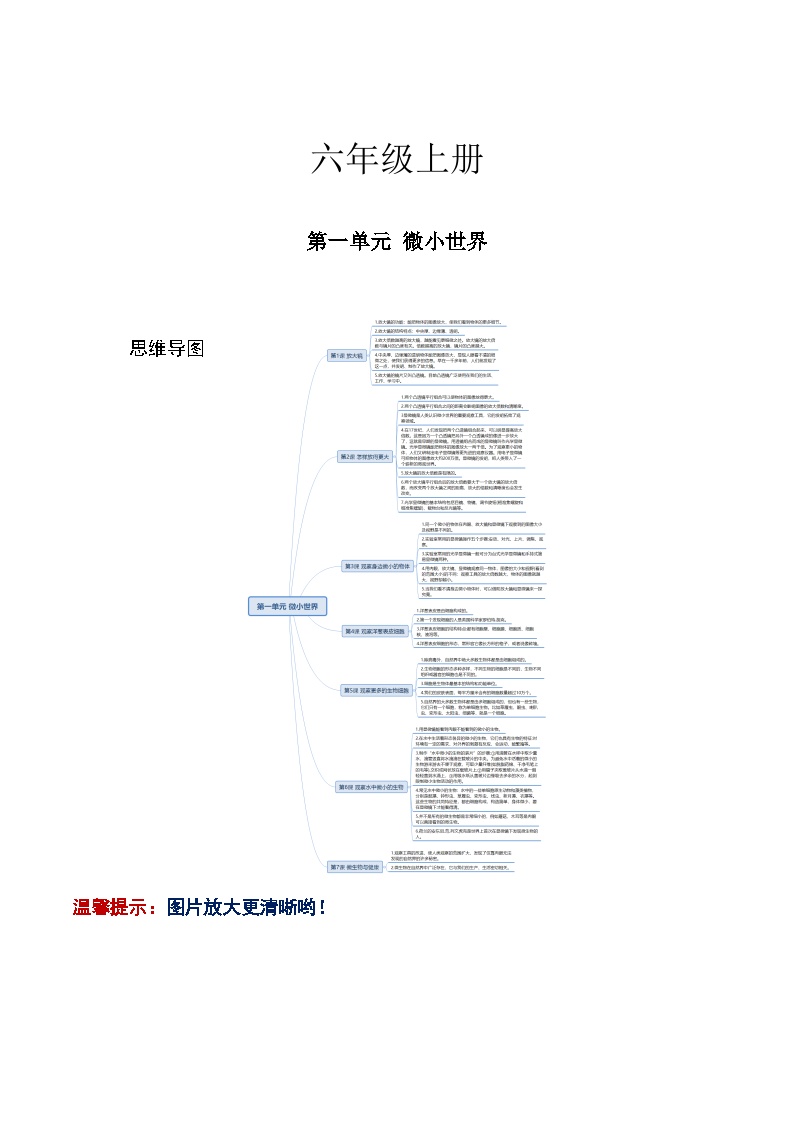 【寒假提升】教科版 小学科学 2023-2024学年 六年级 寒假专项训练 第一单元 微小世界-练习