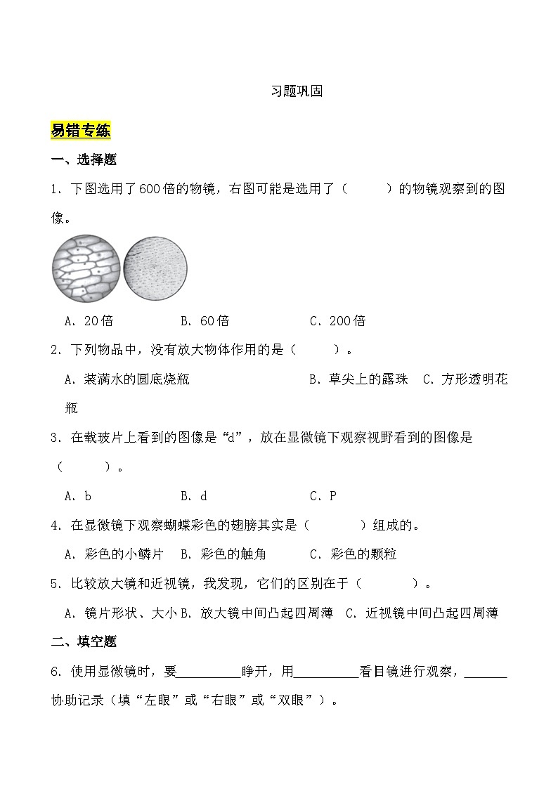 【寒假提升】教科版 小学科学 2023-2024学年 六年级 寒假专项训练 第一单元 微小世界-练习02