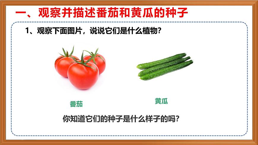 蘇教版小學(xué)科學(xué)三年級下冊第一單元《1.種子發(fā)芽了》課件+作業(yè)設(shè)計+視頻第4頁