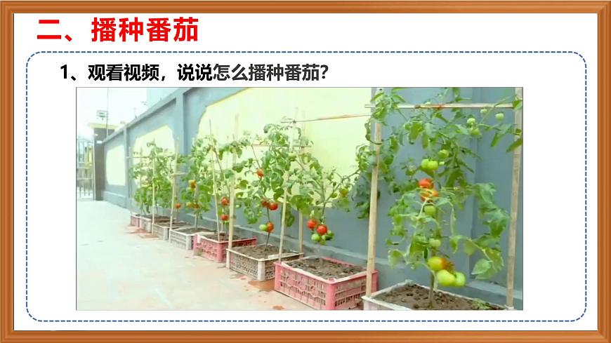 蘇教版小學(xué)科學(xué)三年級下冊第一單元《1.種子發(fā)芽了》課件+作業(yè)設(shè)計+視頻第6頁