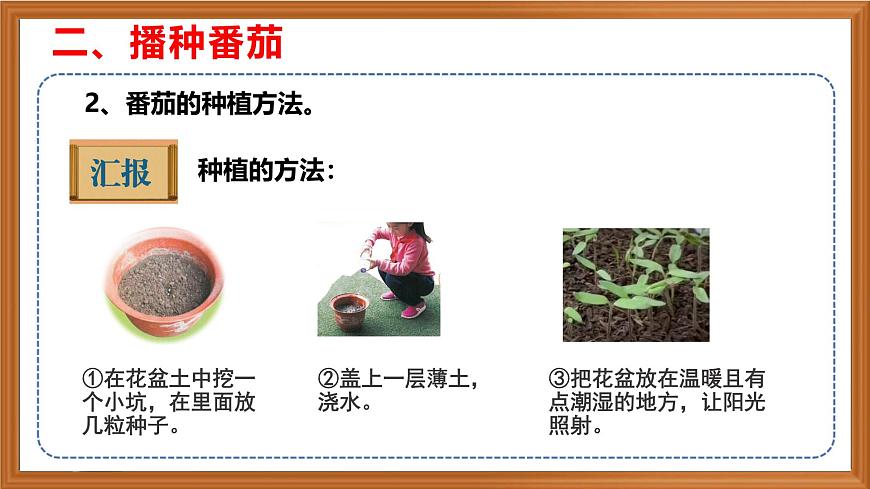 蘇教版小學(xué)科學(xué)三年級下冊第一單元《1.種子發(fā)芽了》課件+作業(yè)設(shè)計+視頻第8頁