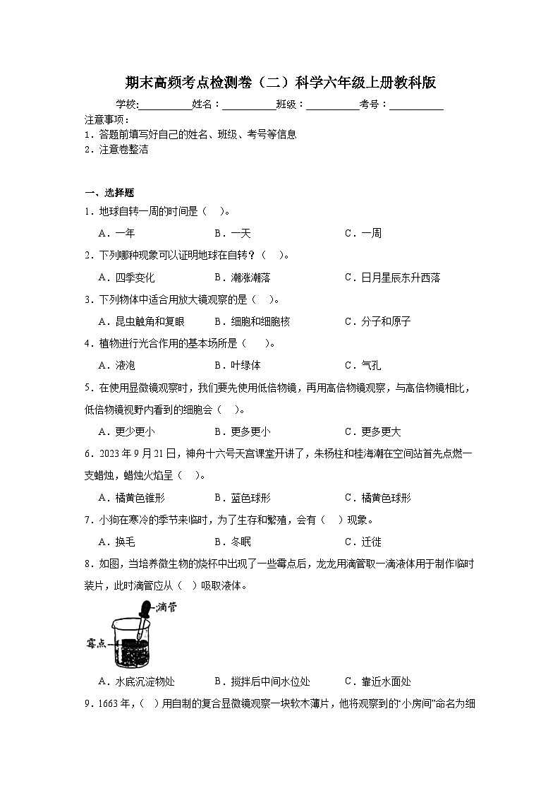 期末高频考点检测卷(二)科学六年级上册教科版第1页