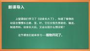 小学科学苏教版 (2017)三年级下册3 植物开花了完整版作业ppt课件