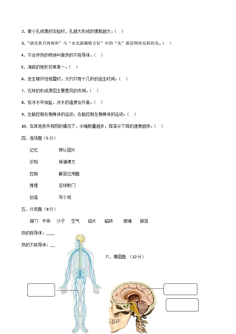 期末测试(试题)五年级上册科学测试卷苏教版第3页