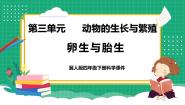 科学四年级下册第三单元 动物的生长与繁殖8 卵生与胎生教学ppt课件