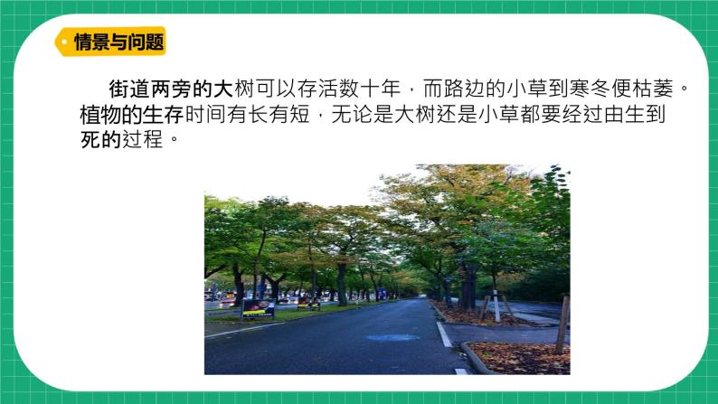 【核心素养】冀教版小学科学四年级下册    7.植物的一生     课件+教案(含教学反思)04